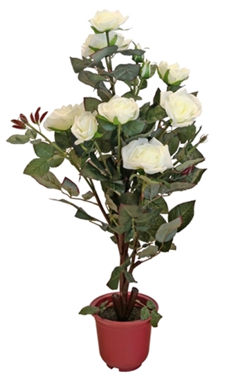 Picture of Rose Tree (Cream/Red)