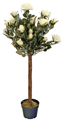 Picture of Rose Tree (Cream/Red)